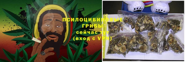 молекула духа Бугульма